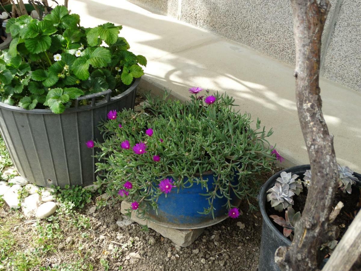 Kaštela Marina Apartments מראה חיצוני תמונה